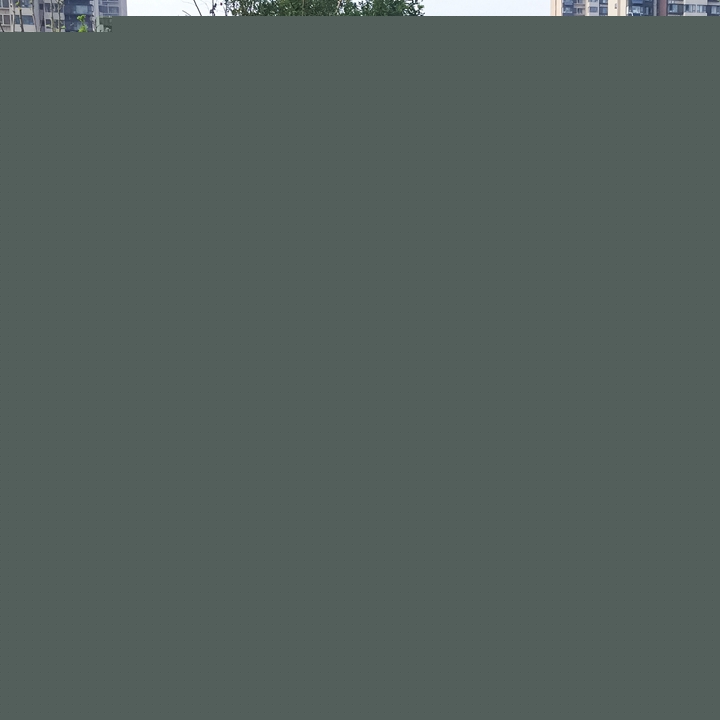 海綿城市
